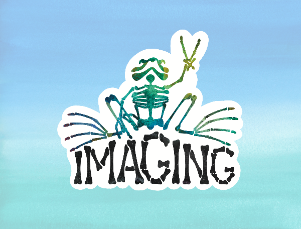 Imaging Frog Sticker